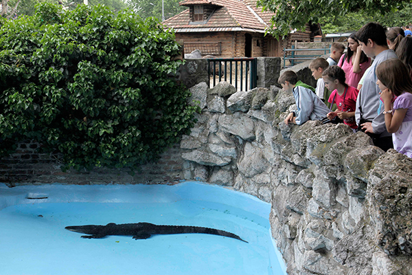 Новые постояльцы зоопарка в Белграде